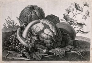 view Still life of fruits, including gourds, cucumbers, figs and grapes. Engraving by J-B Haussard after Boisseau.