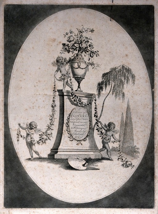 A collection of flowers in ornamental arrangement with garland, urn and cherubs. Etching by J. Edwards, c.1790, after himself.