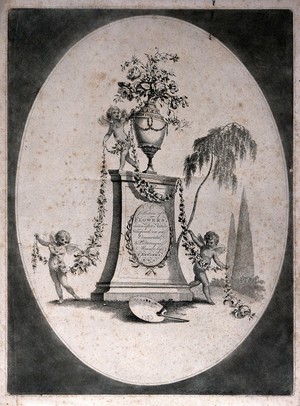 view A collection of flowers in ornamental arrangement with garland, urn and cherubs. Etching by J. Edwards, c.1790, after himself.