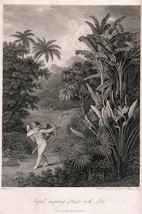 Cupid inspiring plants with Love, in a tropical landscape. Engraving by F. Bartolozzi and H. Landseer, c.1812, after P.Reinagle.