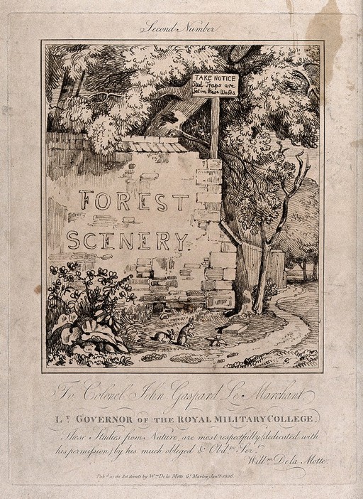 A wall bearing the words "forest scenery" and overhung by trees at the entrance to a woodland walk. Soft-ground etching by W. Delamotte, c. 1806, after himself.