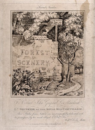 A wall bearing the words "forest scenery" and overhung by trees at the entrance to a woodland walk. Soft-ground etching by W. Delamotte, c. 1806, after himself.