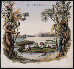 view Giant water lilies (Victoria amazonica) on a lake bordered by two Guianan men and plants. Coloured lithographic reproduction of an engraving by M. Gauci, c. 1814, after C. Bentley.