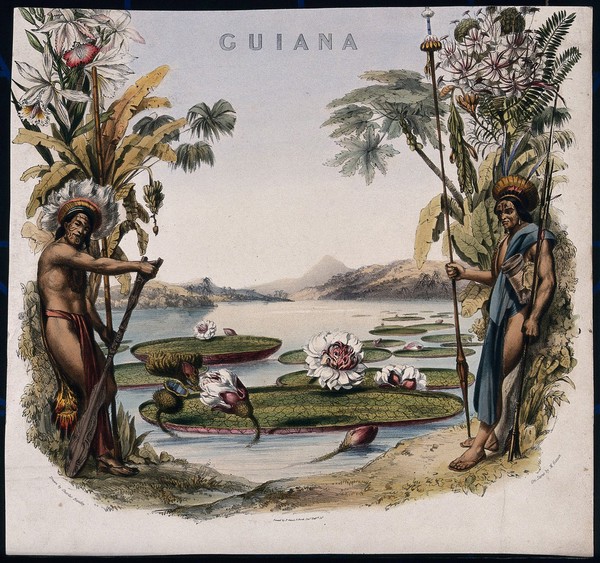 Giant water lilies (Victoria amazonica) on a lake bordered by two Guianan men and plants. Coloured lithographic reproduction of an engraving by M. Gauci, c. 1814, after C. Bentley.