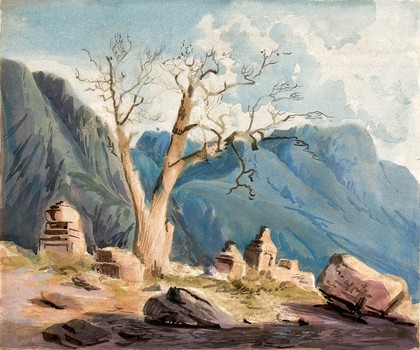 Old poplar tree (Populus euphrasica) with stone monuments in Ladák, Kashmir. Watercolour by H. Schlagintweit, 1856.