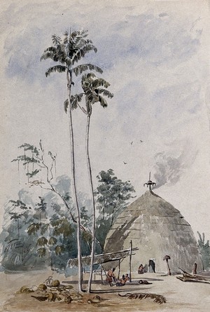 view Indian hut with palm trees in Guyana. Watercolour by E.A. Goodall, 1846.