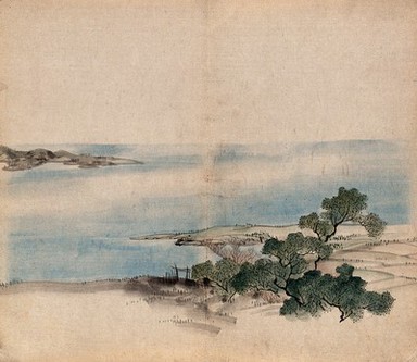 The bank of a lake in Japan with trees, possibly keyaki trees (Zelkova serrata). Watercolour.