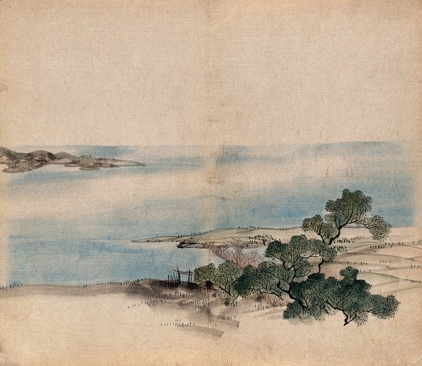The bank of a lake in Japan with trees, possibly keyaki trees (Zelkova serrata). Watercolour.