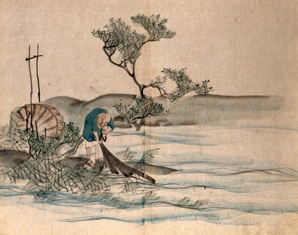 A Japanese fisherman on a lake shore pulling in his nets. Watercolour, c.1860.