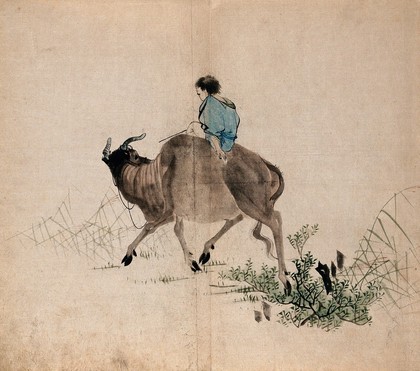 A man riding an ox through grass and shrub land. Watercolour.