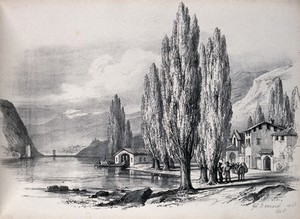 view A lakeside village scene with lombardy poplar trees (Populus nigra cv. Italica) growing by the water's edge. Lithograph after G. Barnard, 1848.