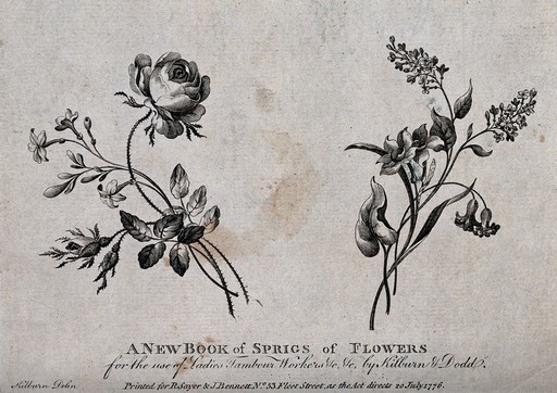 Two sprigs of flowers including roses and Narcissi, meant as designs for embroidery. Etching with engraving after W. Kilburn, 1775.