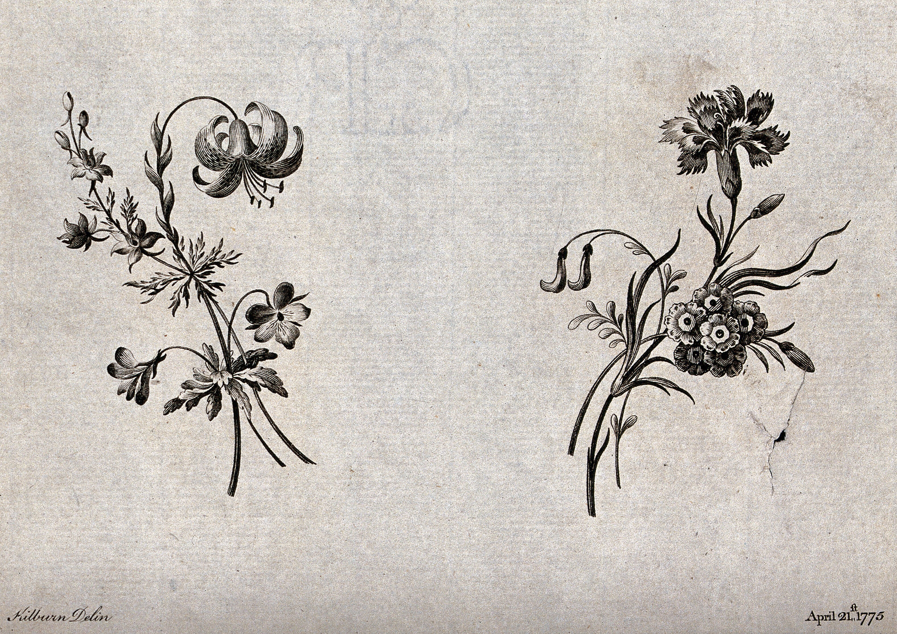 Two Sprigs Of Flowers Including Lilies Carnations And