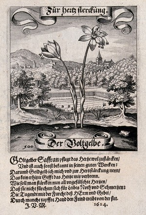 view A field surrounded by wooded hills, with a saffron crocus in the foreground and verses below. Etching by Matthäus Merian the elder ca. 1646.