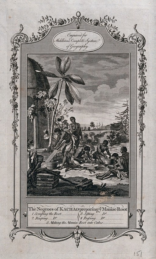 Workers preparing cakes from manioc root in the tropics, with decorative border. Engraving, c. 1777.