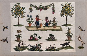 view Separate pictures of garden fruit, flowers, vegetables, birds, dogs and two monkeys dressed as gardeners. Coloured etchings, 18th century.