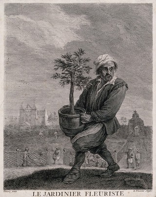 A man carries a large pot plant while, in the background, gardeners are at work. Etching by J.C. Le Vasseur, 18th century, after Teniers.