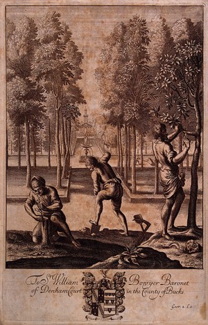 view Gardeners at work in the gardens of Denham Court, Buckinghamshire. Engraving by W. Hollar, 17th century, after F. Cleyn.