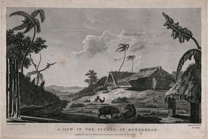 view The island of Tongatapu (Tonga), visited by Cook on his second voyage, 1772-1775. Engraving by W. Byrne, 1777, after W. Hodges.