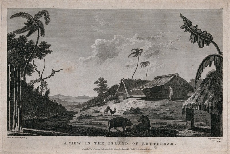 Oven IN Earth Islands Tonga Oceania Engraving 1837 Baking Kitchen