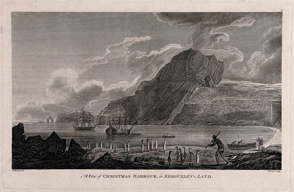 Christmas Harbour in Kerguelen Island (South Indian Ocean), Captain Cook's ships Resolution and Discovery in the bay. Engraving by J. Newton, 1784, after J. Webber.