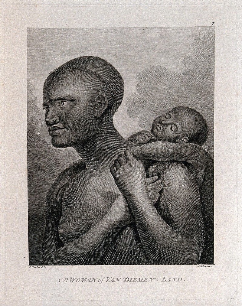 A woman of Van Diemen's Land. Engraving by J. Caldwall, 1784, after J. Webber, ca. 1777., [1784], by John Webber