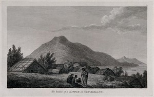 view A Maori village (a hippah or pa) in New Zealand visited by Captain Cook during his third voyage, 1776-1780. Engraving by B.T. Pouncy, 1784, after J. Webber, ca. 1782.