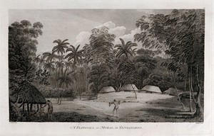 view A fiatooka, or burial place, on Tongatapu island. Engraving by W. Ellis, 1784, after J. Webber, ca. 1783.