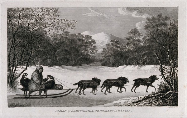 A man travelling on a sledge drawn by five dogs in Kamchatka. Engraving by S. Middiman, 1784, after J. Webber.