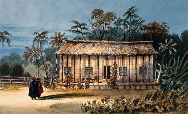 Colombia: a cottage built of bamboo. Coloured etching by C. Empson, 1836.