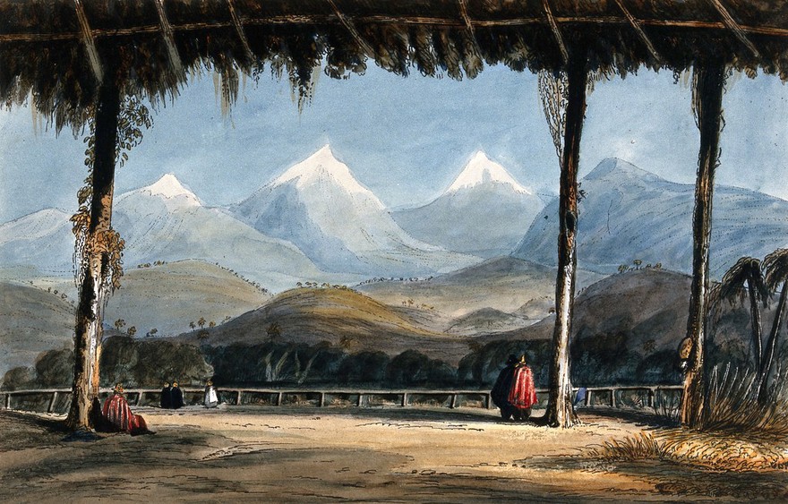 Colombia: a covered passage providing a prospect of the Cordillera mountains across a ravine. Coloured etching by C. Empson, 1836.