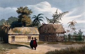 view Colombia: an out-house for preparation of food. Coloured lithograph by C. Empson, 1836.