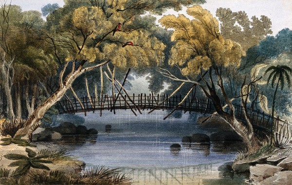 Mariquita, Colombia: a wooden bridge. Coloured lithograph by C. Empson, 1836.