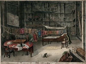 view Paramaribo, Surinam: the room of a natural historian. Watercolour, 1845.