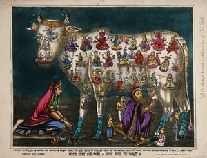 view The cow as mother of the world: with pictures of Hindu deities all over its body. Coloured lithograph.