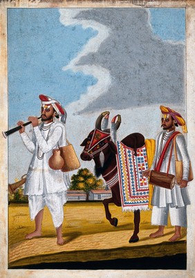 Two Hindu musicians and a highly decorated cow with the symbol of Hanuman painted on its forehead. Gouache drawing.