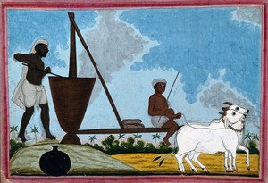 view Two men perhaps milling foodstuffs in a vat with a millwheel driven by two oxen. Gouache drawing, 18--.