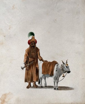 view A man wearing a headgear with an image of a deity (?), standing with his cow. Gouache painting by an Indian artist.