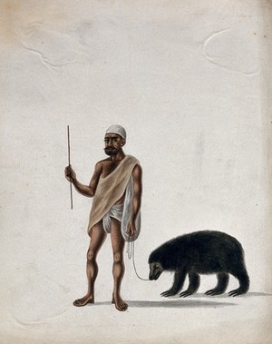 view A street entertainer with his performing bear. Gouache painting by an Indian artist.