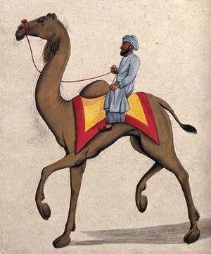 camel gouache