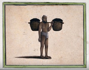 view A man carrying two baskets filled with coal (?) attached to a stick, on his shoulder. Gouache painting by an Indian artist.