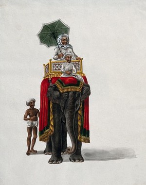 view A wealthy man, holding an umbrella, sitting on a howdah (seat) placed on the back of a rug-draped Indian elephant. Gouache painting by an Indian artist.