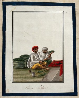 view Two men selling pan (betel leaves). Gouache painting by an Indian artist.