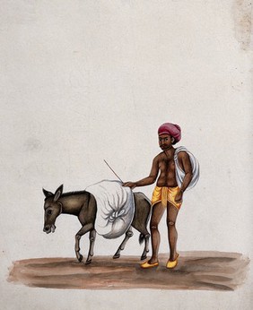 A man walking along with a donkey carrying a heavy load. Watercolour by an Indian artist.