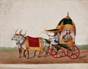 view A Sikh man riding in an elaborate domed carriage pulled by two oxen. Gouache painting by an Indian painter.