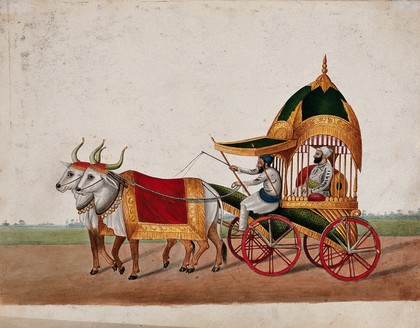 A Sikh man riding in an elaborate domed carriage pulled by two oxen. Gouache painting by an Indian painter.