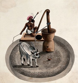 India: a man smoking a hookah whips a bullock who is drawing him on a platform around a milling wheel. Watercolour, 18--.