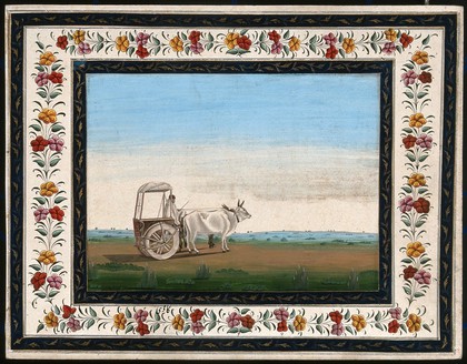 A man driving a small bullock cart with a canopied top. Gouache painting by an Indian artist.