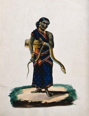 view An Indian woman holding a snake and a basket. Gouache painting by an Indian painter.