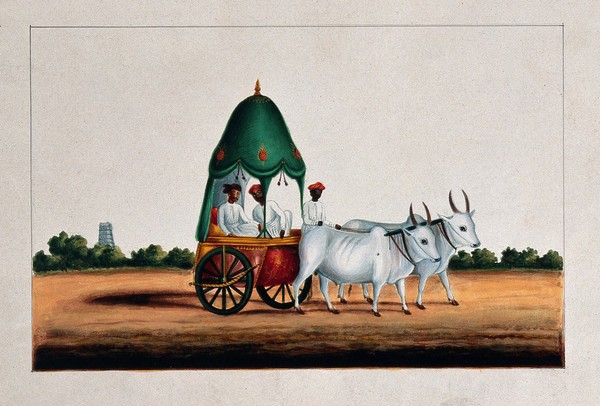 Two Indian men in a bullock cart with a curtained canopy on top and a small dome. Gouache painting by an Indian painter.